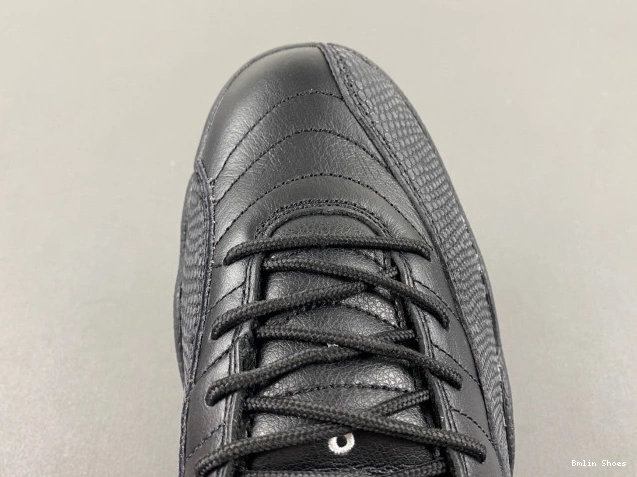 Bmlin The Air Master Jordan Retro 12 130690-013 0712